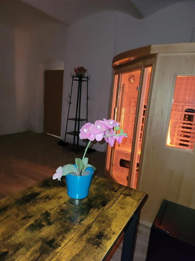 Chateau Moravany - Apartmany, Teepee A Wellness Ronow an der Doubrava Eksteriør billede